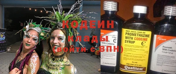прущие грибы Струнино