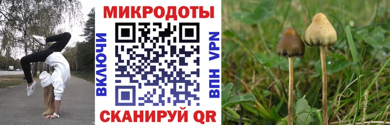ссылка на мегу как зайти  Томилино  Галлюциногенные грибы MAGIC MUSHROOMS 