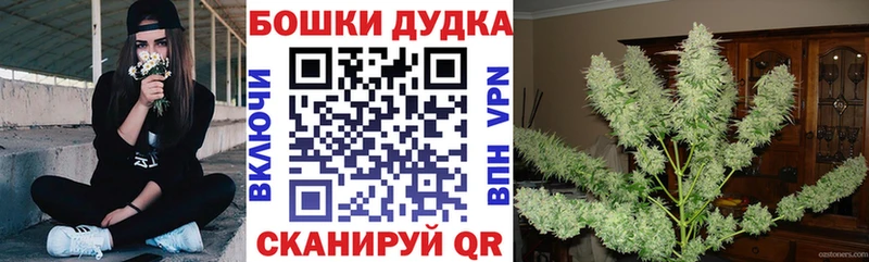 shop какой сайт  Томилино  Бошки марихуана OG Kush 